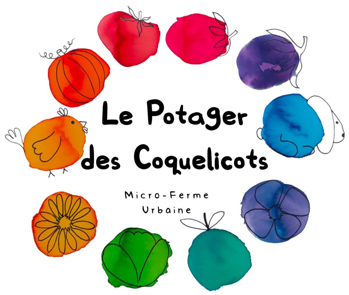 Inauguration du potager des coquelicots Espace Montcalm